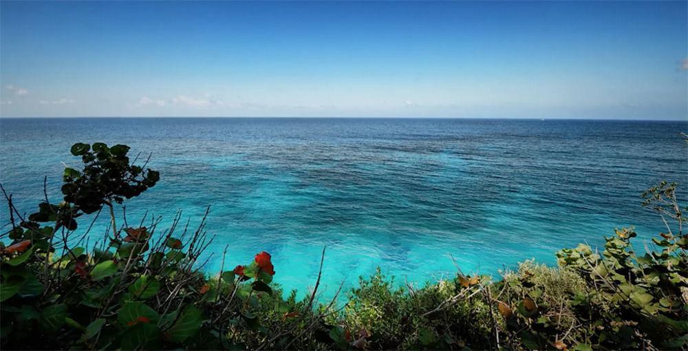 Frenchman'S Cove Ξενοδοχείο Πορτ Αντόνιο Εξωτερικό φωτογραφία
